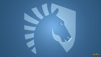 dota2战队简介与最新名单