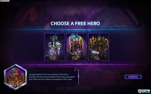Storm Hero Activity and Plan