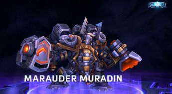 Storm Hero Skin Acquisition and Usage