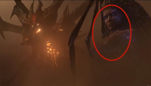 凯瑞甘风暴英雄互动(凯瑞甘 风暴英雄)