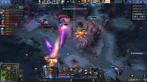 关于dota2土猫视频的信息