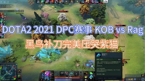 查看Dota2黑鸟最新版本攻略及掉线解决方案 dota2黑鸟掉线(dota2黑鸟最新版本攻略)