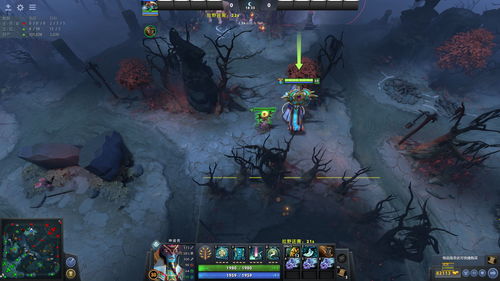 dota眼位大全