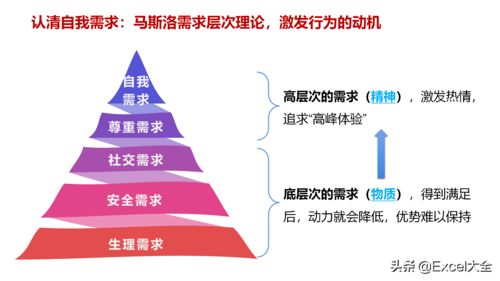 理论网对比图
