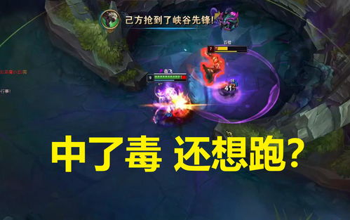 老鼠打野符文(老鼠打野符文出装)