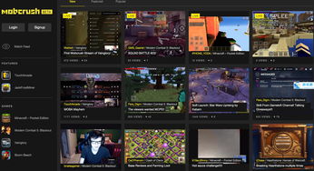 网络游戏端游(网络游戏端游推荐)