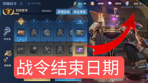 12月6日游戏停服一天啥时候恢复(游戏停服是哪一天)