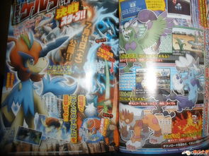 口袋妖怪白2(口袋妖怪白2神兽捕捉攻略)