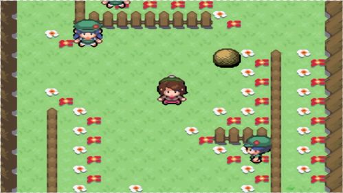 口袋妖怪模拟器(口袋妖怪模拟器)