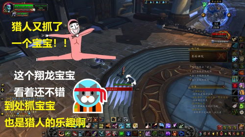 宠物技能一览表