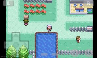 口袋妖怪叶绿(口袋妖怪叶绿二周目图文攻略)