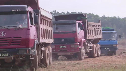 卡车人生(卡车人生手机版下载)