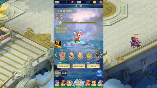 仙神道(仙神道主)