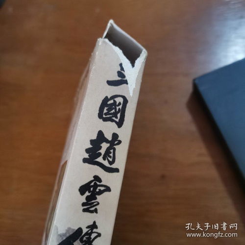 三国赵云传之纵横天下手机版(三国赵云传之纵横天下手机版攻略)