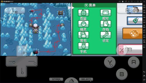 口袋妖怪金攻略详细(口袋妖怪金怎么玩)