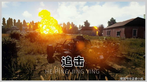 吃鸡(吃鸡国际服)