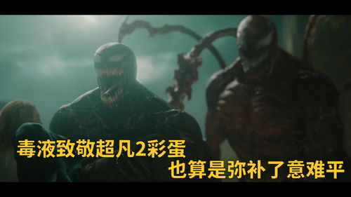dota2里的台词的成语(dota2用语)
