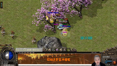 新开传奇新服网手机版(新开传奇新服网手机版盒子)