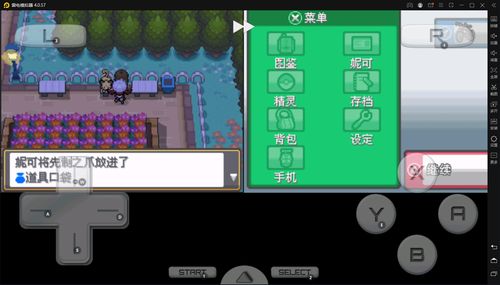 口袋妖怪心金下载(口袋妖怪心金下载手机版)