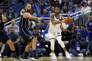 篮网逆转击败开拓者(篮网逆转击败开拓者怎么打)