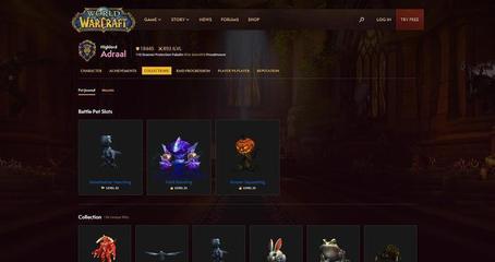 魔兽世界英雄榜查角色(手机查询魔兽世界英雄榜)