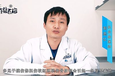 烬的腿为什么瘸了(lol烬是不是瘸子)