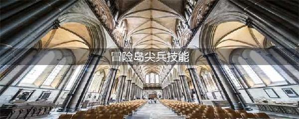 冒险岛手游尖兵技能加点(冒险岛手游尖兵技能加点攻略)