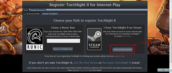 火炬之光2steam联机(火炬之光2switch联机)