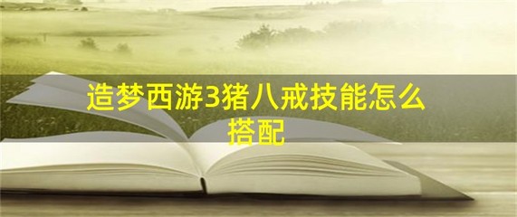 造梦西游3猪八戒的技能搭配(造梦西游3猪八戒技能搭配推荐)