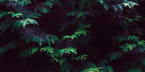 风色幻想6攻略超完美攻略(风色幻想6攻略超完美攻略游侠)