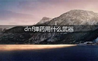 100级弹药刷图加点(弹药100级装备搭配)