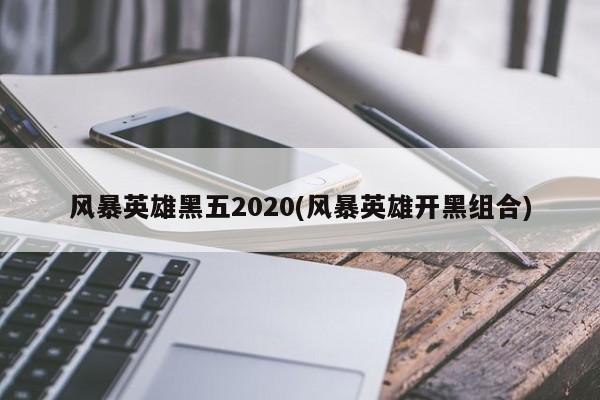 风暴英雄黑五2020(风暴英雄开黑组合)