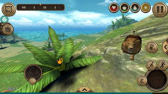 孤岛求生游戏攻略