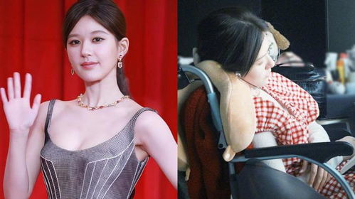 赵露思委托魏笑报平安