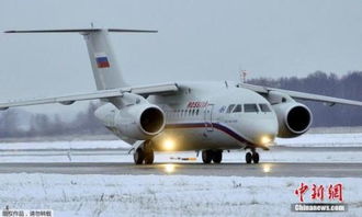 目击者称韩国客机或遭大雁撞击