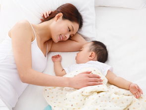 安抚攻略游戏 安抚攻略游戏