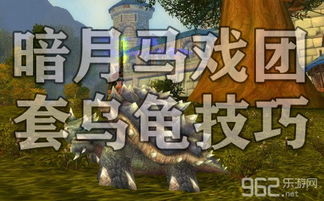 龟游戏攻略