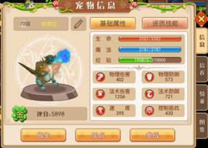 所有宠物游戏攻略