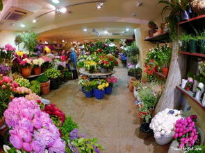 花店装修游戏攻略