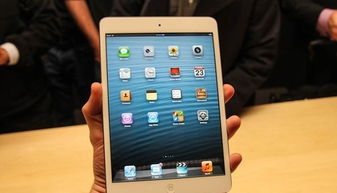 ipad收纳游戏攻略