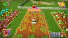 情侣种地游戏攻略