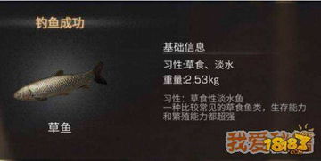 森林游戏攻略烤鱼
