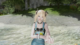 玛丽罗斯游戏攻略