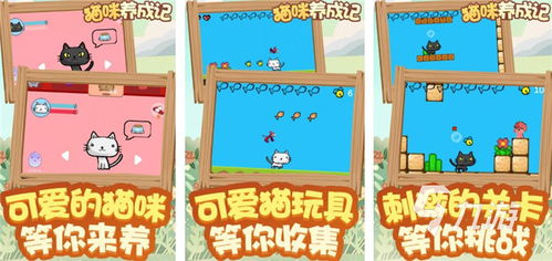 推荐养猫游戏攻略