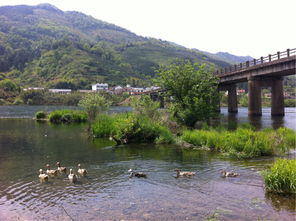 桃花潭游戏游玩攻略