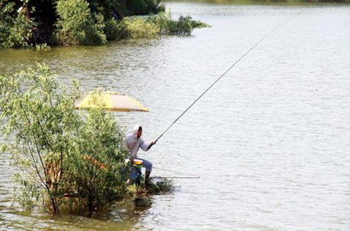 夏天钓鱼攻略游戏推荐