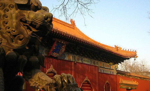 雍和宫现“抢头香”大场面