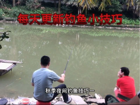 秋季钓鱼攻略游戏推荐 秋季钓鱼攻略游戏推荐