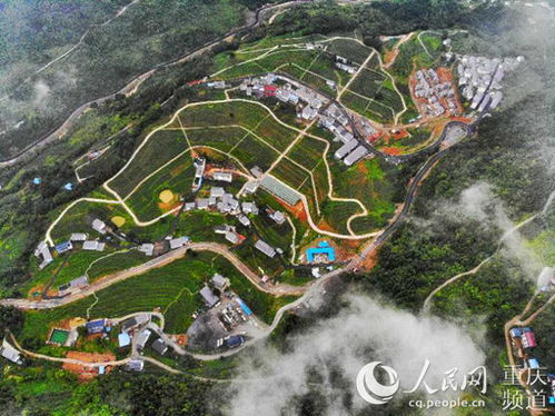 巫溪游戏中心攻略