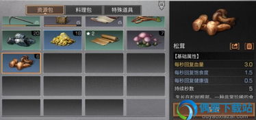 披萨游戏攻略网红